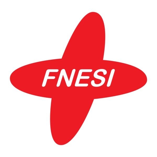 FNESI